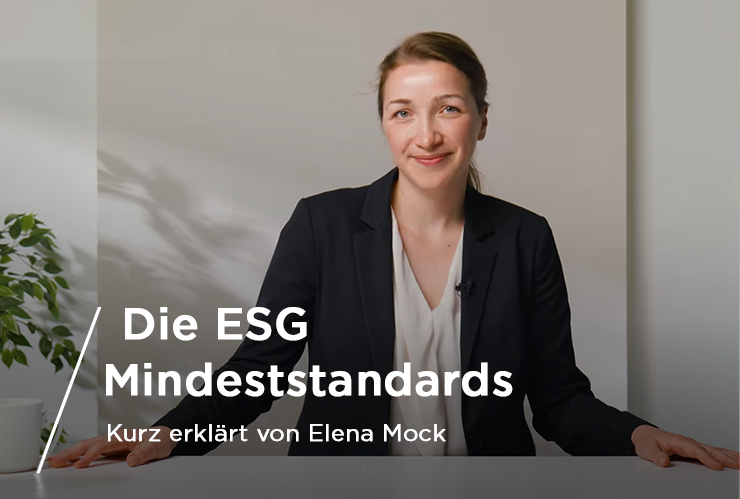 ESG-Mindeststandards kurz erklärt von Elena Mock